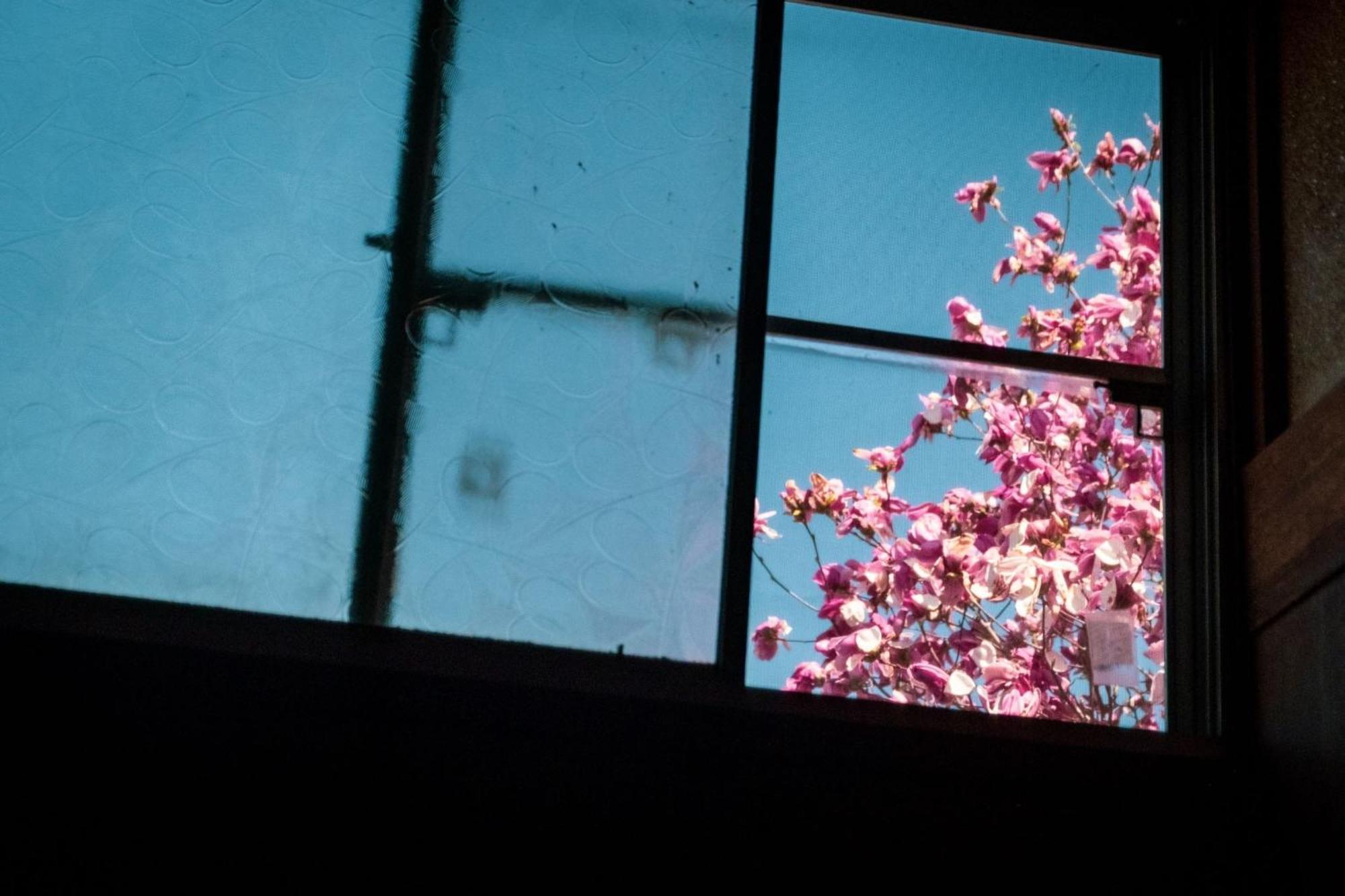 Honno Ryokan / Vacation Stay 60049 Yahaba エクステリア 写真