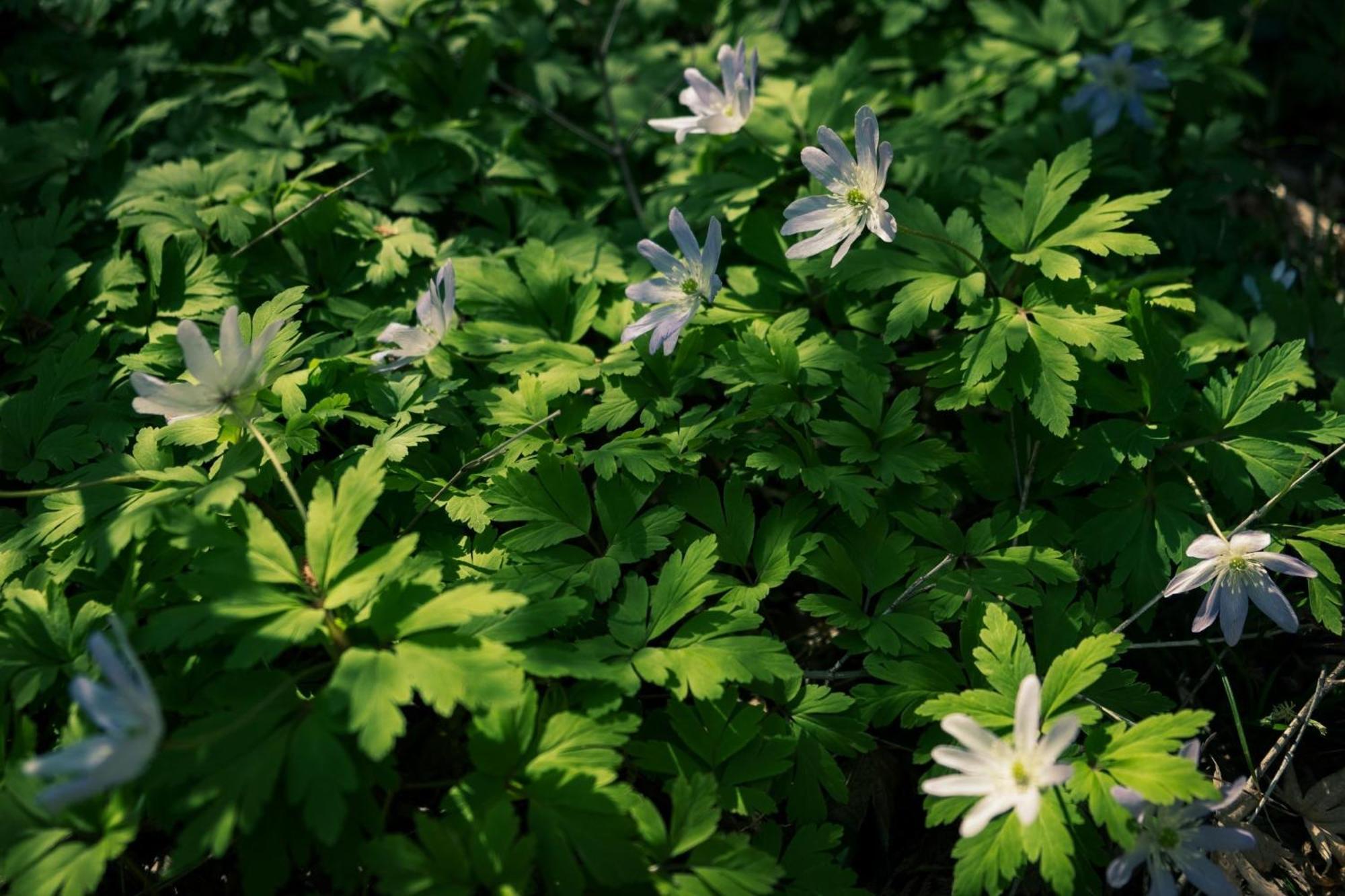 Honno Ryokan / Vacation Stay 60049 Yahaba エクステリア 写真