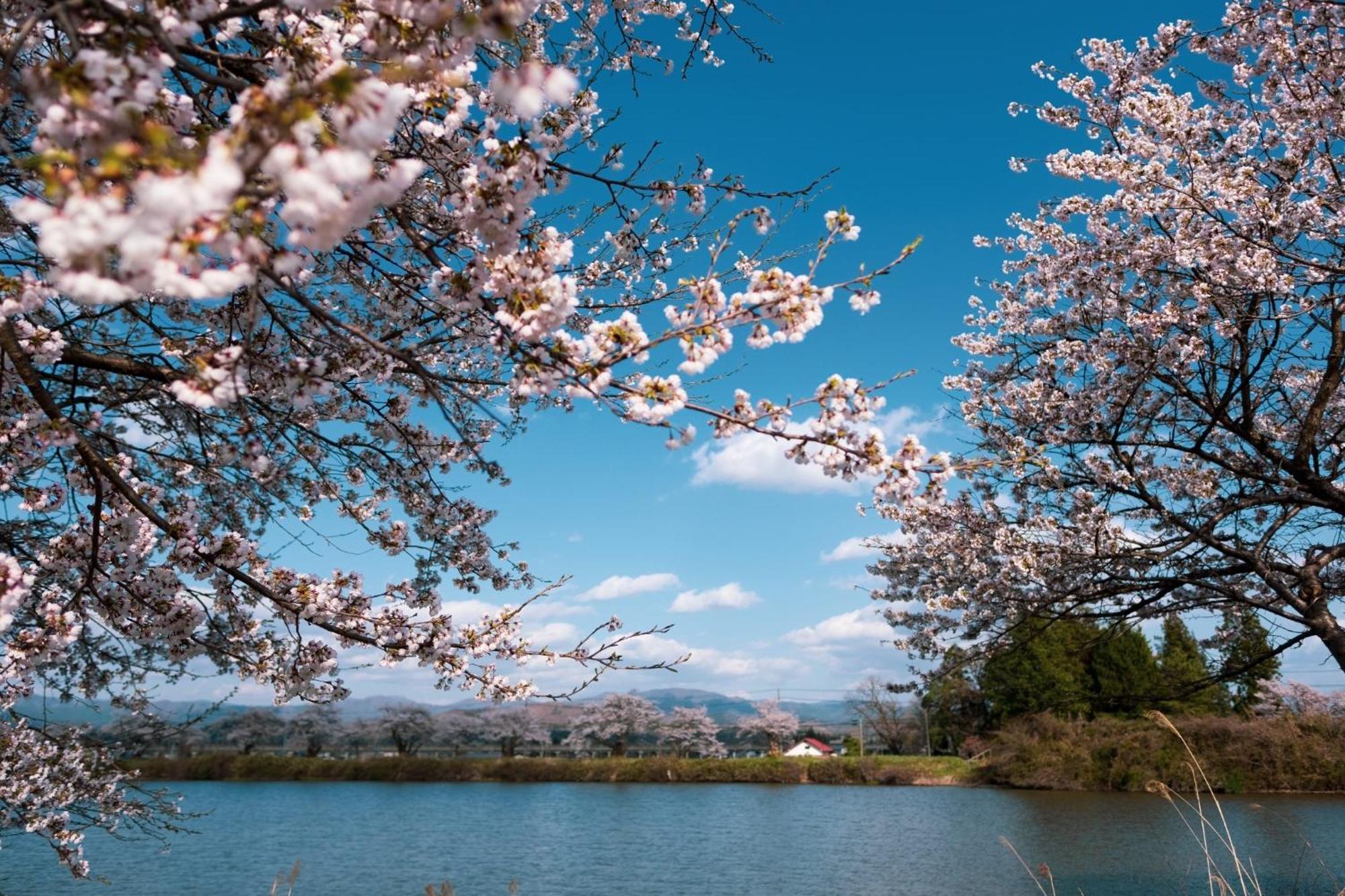 Honno Ryokan / Vacation Stay 60049 Yahaba エクステリア 写真